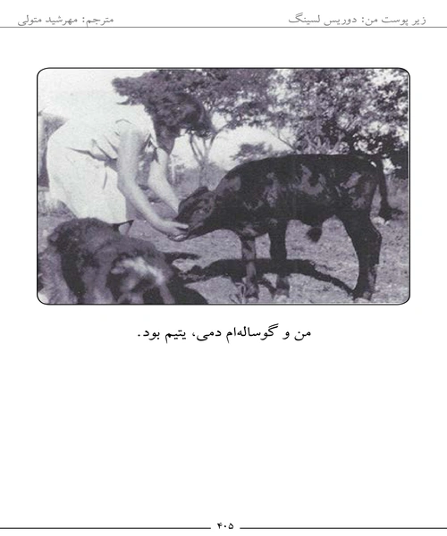 زیر پوست من - نمونه دوم - جزیره کتاب های الکترونیکی